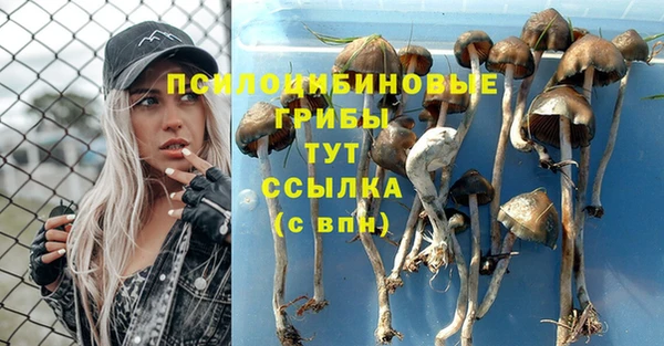 дмт Алексин