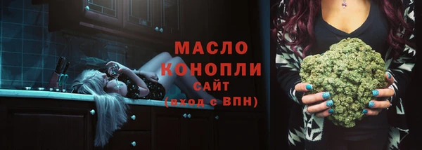 дмт Алексин