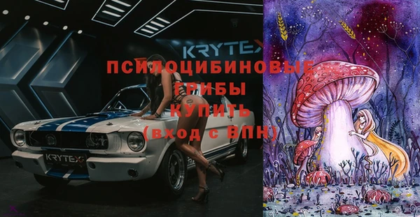 дживик Абинск