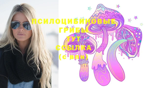 дмт Алексин