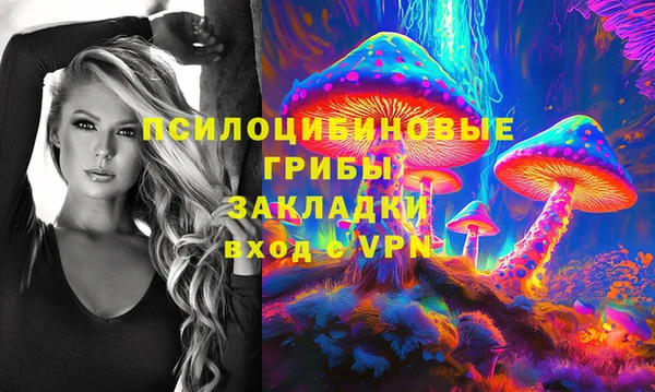мдпв Абаза